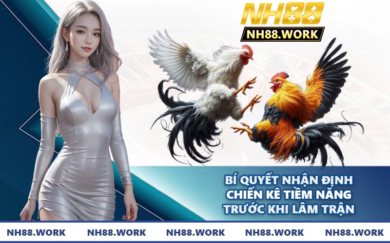 Bí quyết nhận định chiến kê tiềm năng trước khi lâm trận